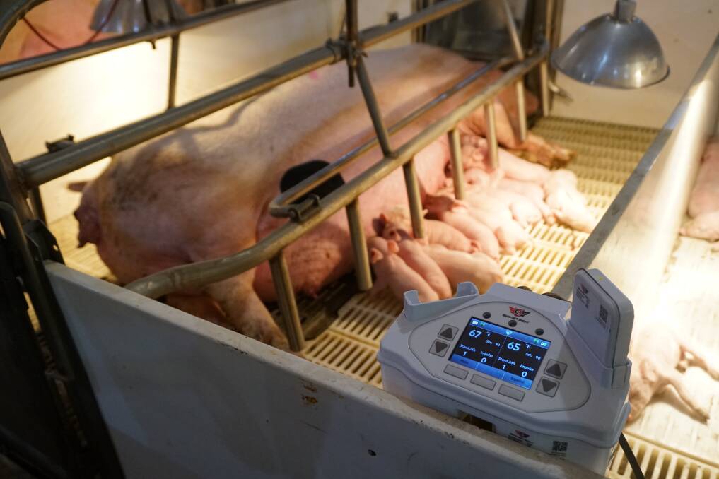 Using a TENS unit, similar to that used on humans, the vibrations tell the sow to stand up if a piglet's breathing sequence changes.