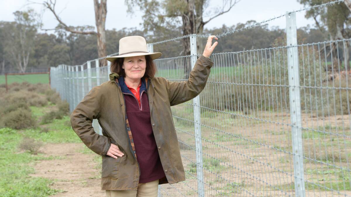 Amanda Barlow checking a kangaroo exclusion fence on their Mathoura property Heatherleigh where she and husband Steve have spent $35,000 on five kilometres of fencing. Photo by Rachael Webb.