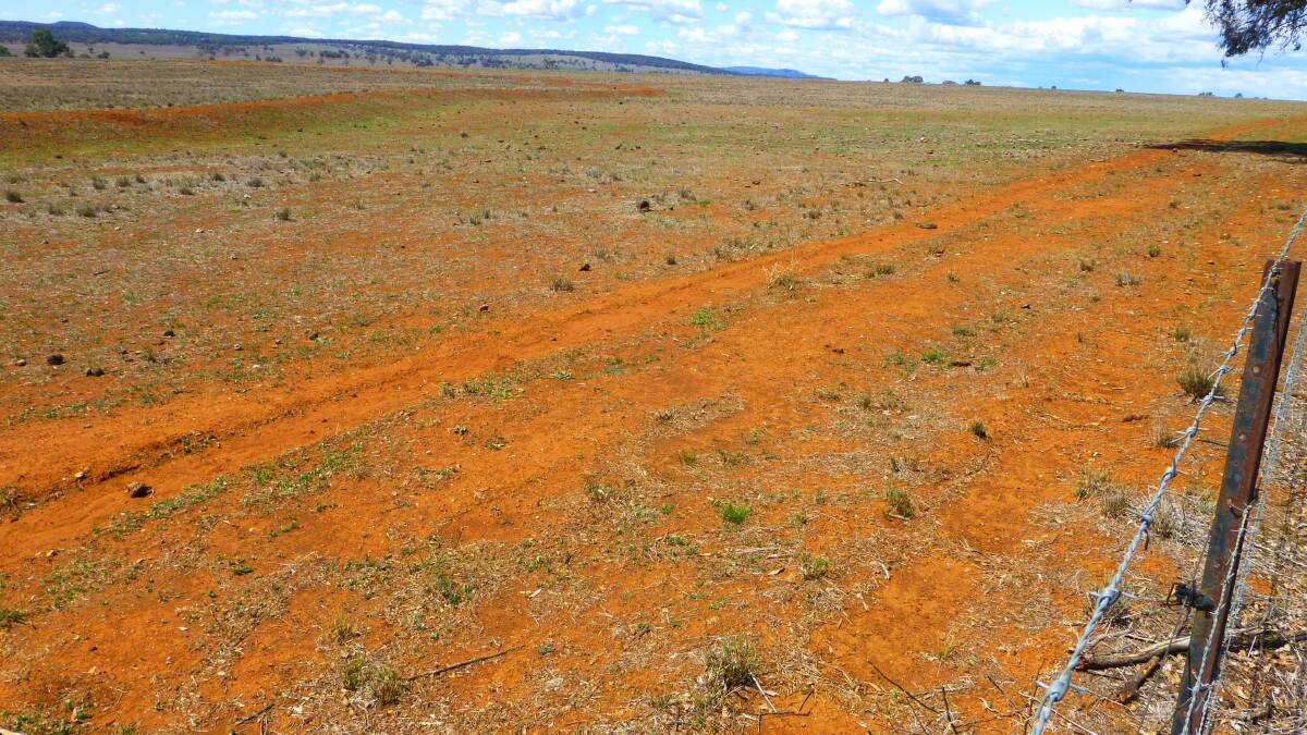 Native grass overgrazed leading into and during the drought. Wind erosion, poor water capture and very slow pasture recovery. 
