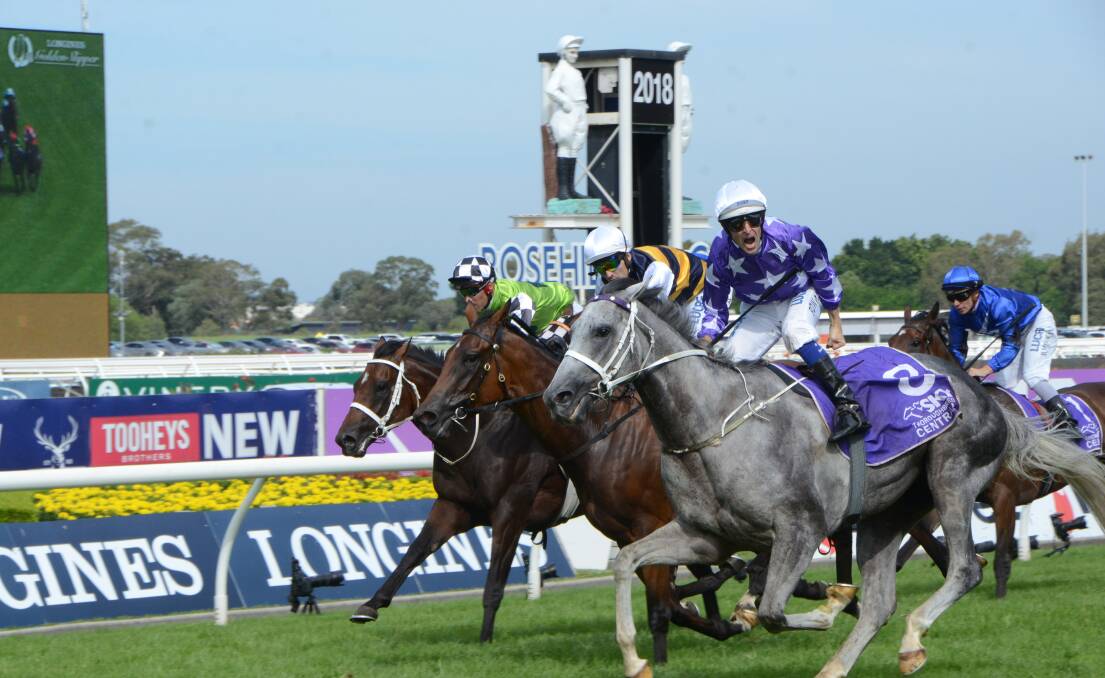 An ecstatic Hugh Bowman yells with excitement after So You Think grey colt D’Argento wins the Rosehill Guineas last Saturday. Photos by Virginia Harvey.
