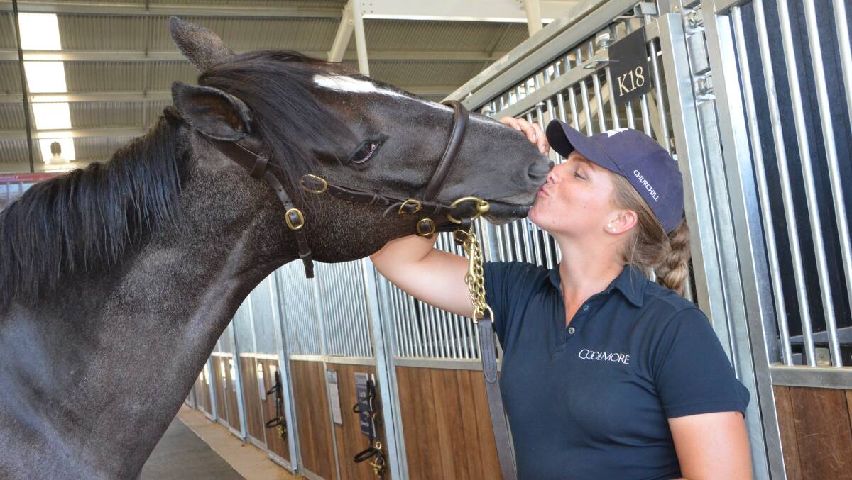  Groom, Rachel Cooksley with the Pierro filly from Faith Hill, which sold for $500,000 via Coolmore Stud, Jerrys Plains at Inglis’s Easter Yearling Sale last Monday