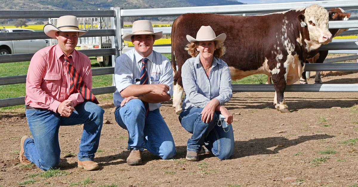 Stock agent, Jayden McClymont Elders, Scone, auctioneer Tom Tanner, Davidson Cameron and Co, Tamworth, and Wurragundi Pastoral stud principal Deb Kelley with the top-price bull Warragundi Anzac Q078, purchased by Ernie and Debbie Constance, Burrunga Pty Ltd, Peak View via Cooma for $14,000. Photo: Billy Jupp 