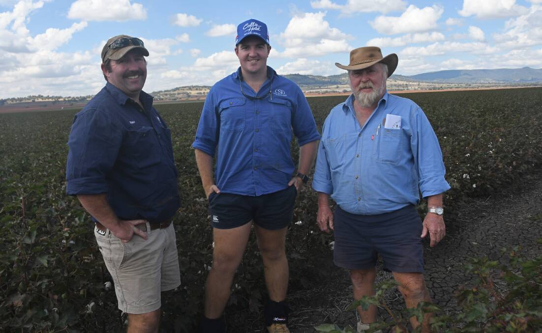 JPJ Farming's Blake and Phil Whillock (right) with Nick Stewart, graduate extension agronomist, CSD Wee Waa, examine the Whillock family's dryland cotton crop at its property Wah Ree, near Premer. Photo: Billy Jupp 