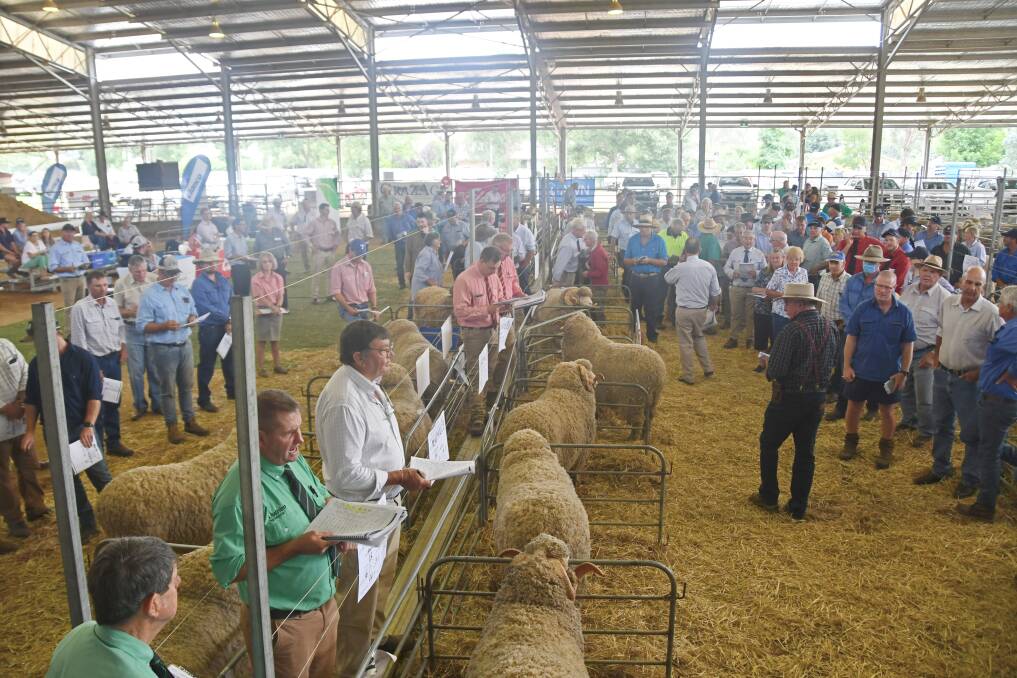 Crowds flocked back to sales during the recent northern ram sale season. Photo: Billy Jupp