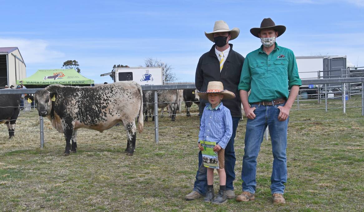 Auctioneer Blake O'Reilly, Ray White Rural, Armidale and Guyra and Waratah Speckle Park stud principals Laiton and Dustin Turnham with the top price bull. Photo: Billy Jupp