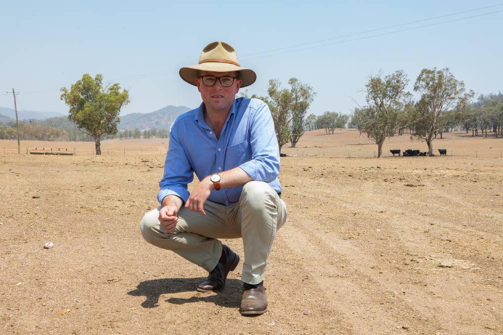 NSW Agriculture Minister Adam Marshall said the report proves farmers are among the state's best vegetation managers. Photo: File 