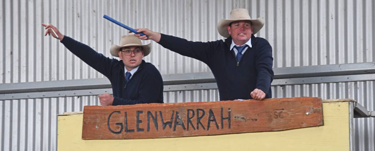 Armitage and Buckley stud stock agents and auctioneers Luke Heagney and Tom Piddington, Armidale, look for a bid during Wednesday's sale. 