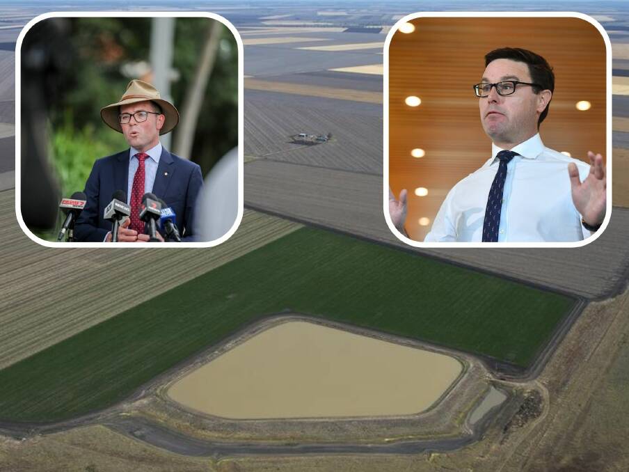 NSW Agriculture Minister Adam Marshall and Federal Agriculture Minister David Littleproud are in favour of an amnesty program, provided it doesn't impact national security. 