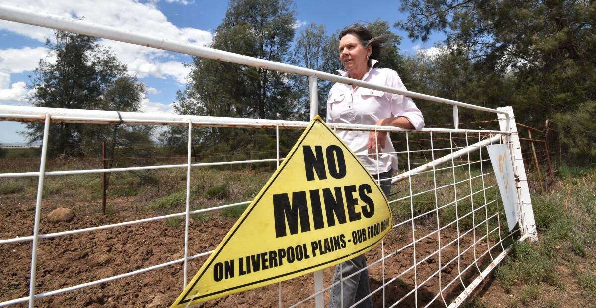 Caroona Coal Action Group president Susan Lyle is confident the state government may be changing its stance on the Watermark Coal Mine project. Photo: Billy Jupp 