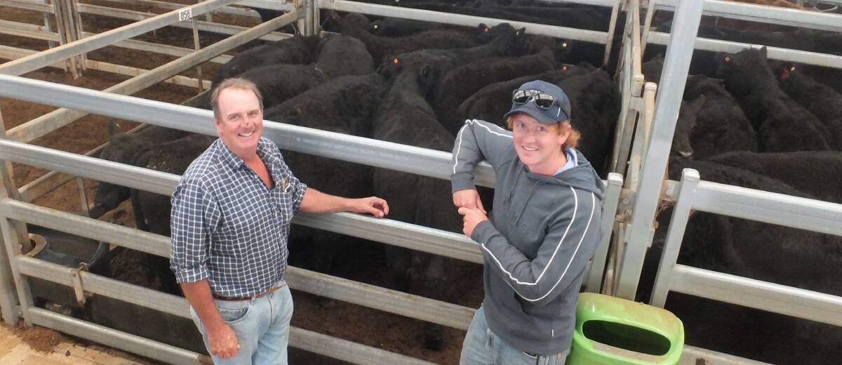 Richard Burns and Alec Olsen, Belandi Ag, Belandi, Blackville, with a pen of Angus steers which sold for $1910/hd at Tamworth last Friday. Photo: Michelle Mawhinney 