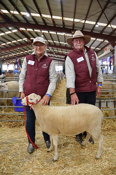 Westmoreland stud principals Julie Huie and Jeff Lucas exhibited their Wiltipolls for the first time at last weekend's NSW Sheep Show. Photo: Billy Jupp 