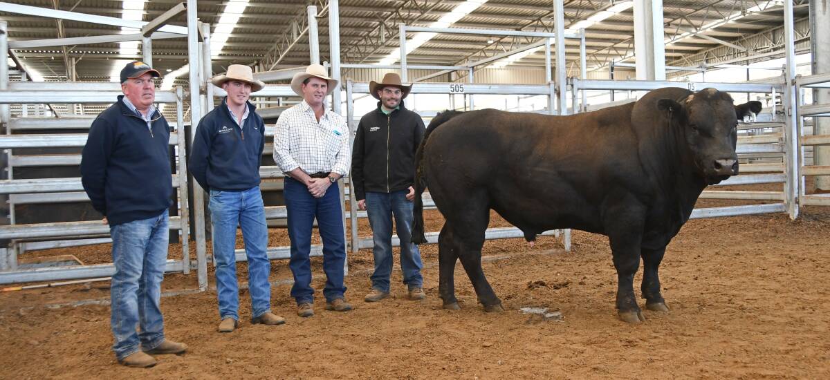 Angledale Limousin stud principal Craig Devine, Willow Tree, McCulloch Agencies stock agent Alec Clydsdale, Tamworth, buyer Peter Clydsdale The Valley, Upper Rouchel, and auctioneer Chris Dobie, Nurtien Ag Solutions, Scone with the top-price bull. Photo: Billy Jupp 