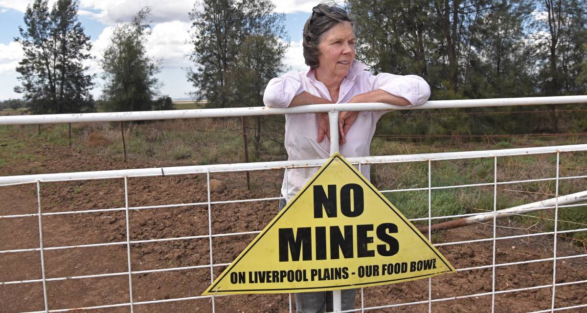 Caroona Coal Action Group president Susan Lyle says scientific studies show the project should not go ahead. Photo: Billy Jupp 