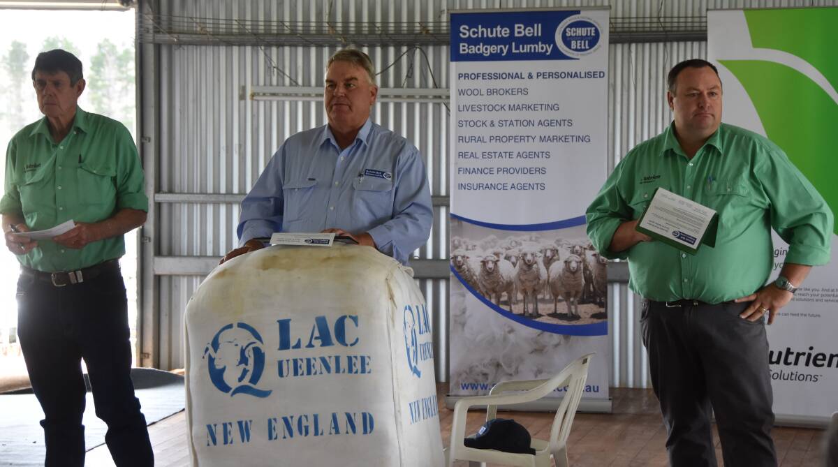 Schute Bell and Nutrien agents search for a bidder during the Queenlee Merino Stud's annual sale. Photo: Billy Jupp 