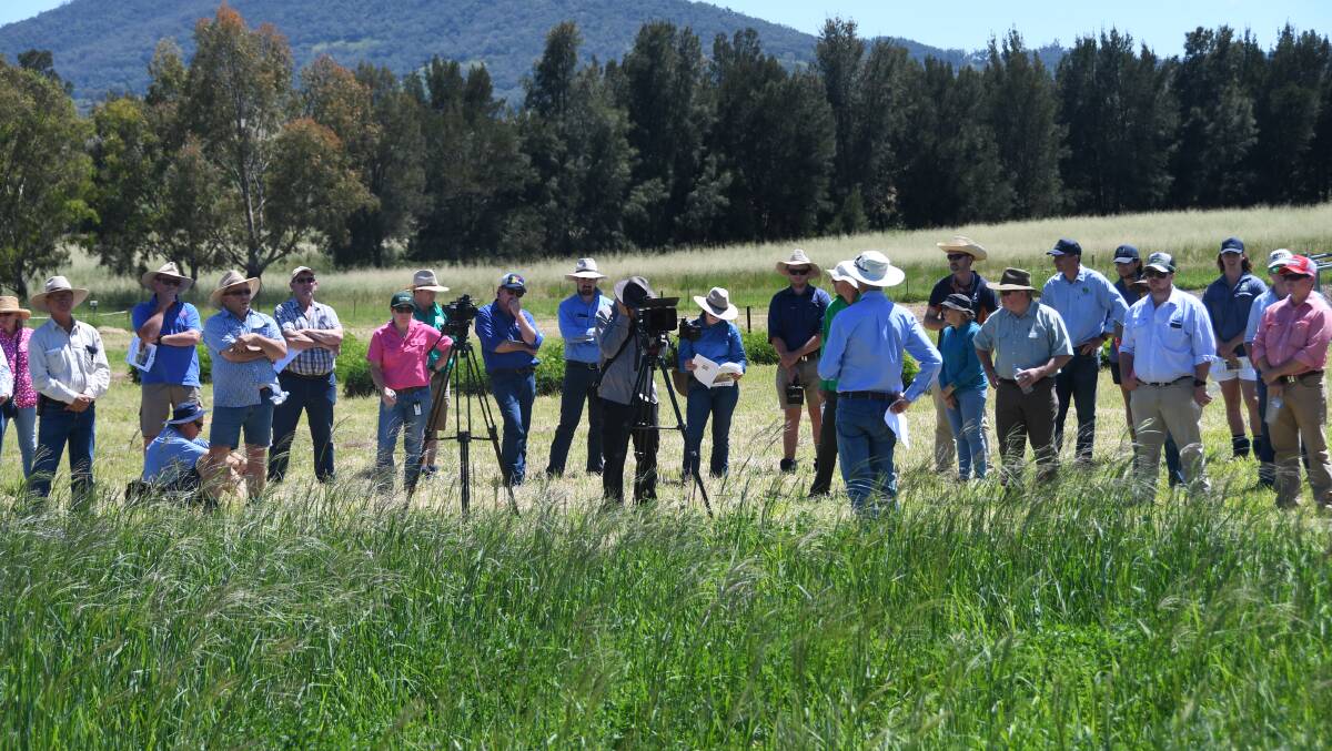 UNE's pasture science and grazing management lecturer Dr Jonathan McLaughlin discussed his institution's latest research at a recent field day at the Tamworth Agricultural Institute. Photo: Billy Jupp