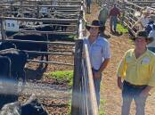 Gunnedah stock agents Cameron Kerr, James Bradford Rural, and Sean Latham, Ray White Fleming and Ross, with a pen of Angus weaner heifers sold by Woodridge Pastoral Company, Currabubula, for $1960. Photo: Billy Jupp 
