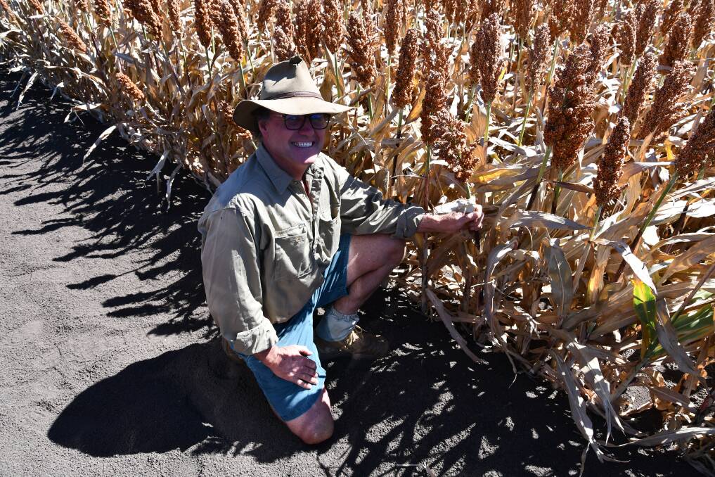 Jim Russell was among many producers across Northern NSW whose crops exceeded early expectations. Photo: Billy Jupp 