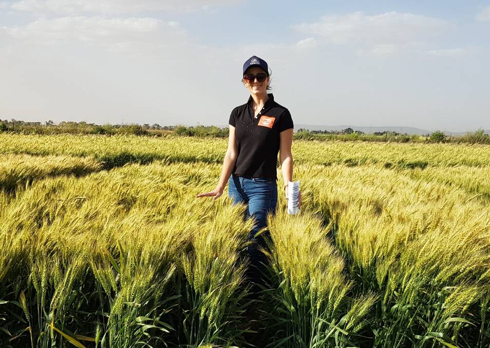 InterGrain northern NSW territory manager Katherine Munn believes Rockstar offers plenty of options to growers. Photo: Supplied 