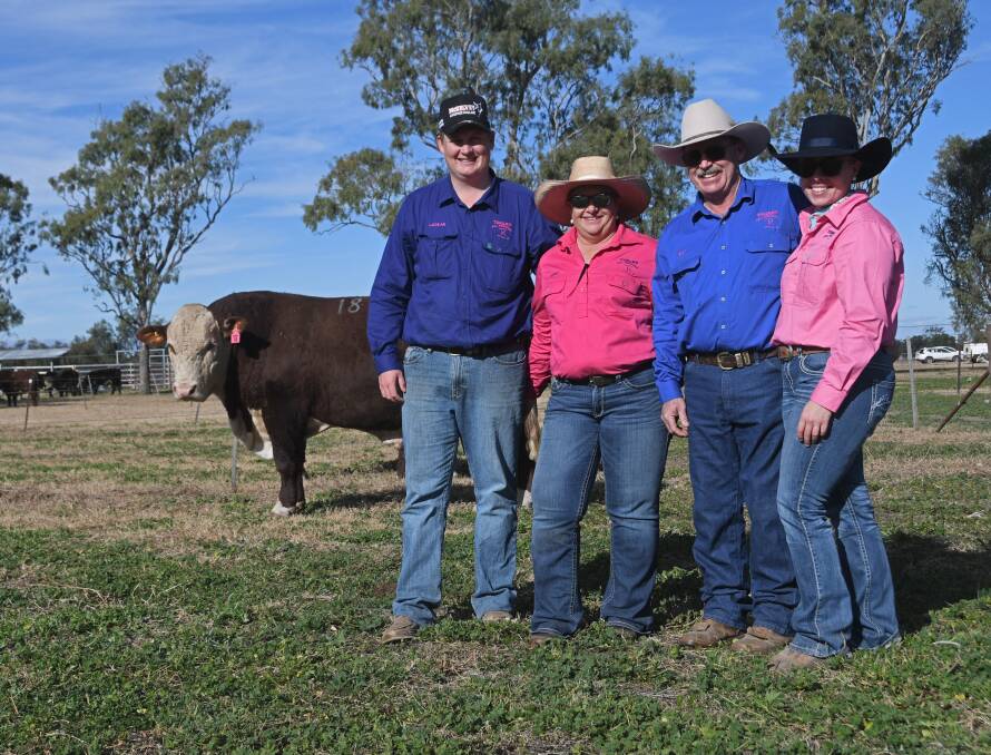 Tenaru Poll Herefords' Lachlan, Teeny, Kelly and Tiana Runzer with their top-selling bull. Picture: Billy Jupp 