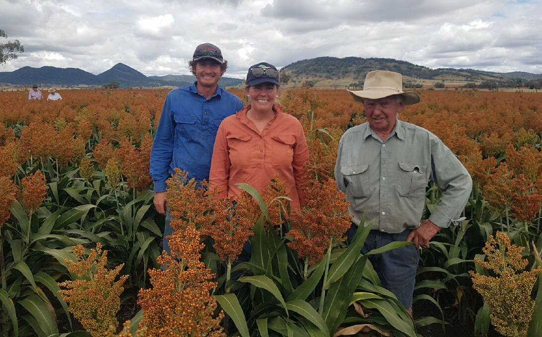 Murray and Emily Stirling with Mike Bowler in the competition-winning sorghum crop at the Bowler family's Winton property Midway. Photo: Supplied 