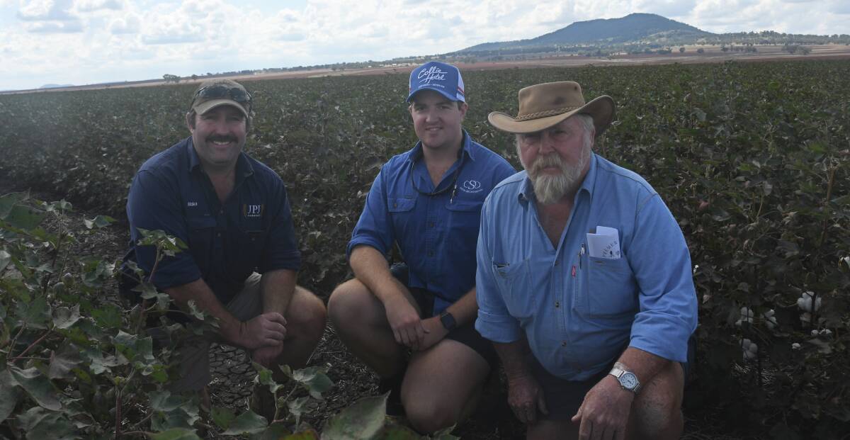 JPJ Farming's Blake and Phil Whillock (right) with Nick Stewart, graduate extension agronomist, CSD Wee Waa, examine the Whillock family's dryland cotton crop at its property Wah Ree, near Premer. Photo: Billy Jupp 