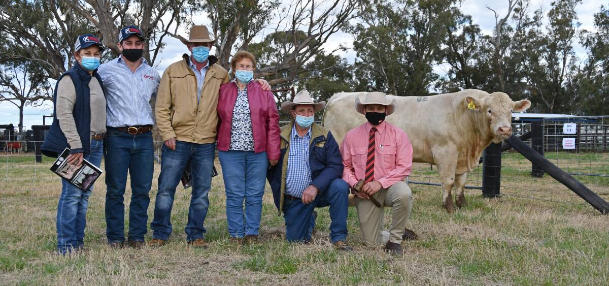 Temana Charolais stud principals Kylie, Rylie and Jason Catts, Maylene and Terry Griffin, auctioneer Lincoln McKinlay, Elders, Inverell, with the top price Charolais bull which was purchased by Keddstock Pty Ltd, Yuleba, Queensland for $42,000. Photo: Billy Jupp 