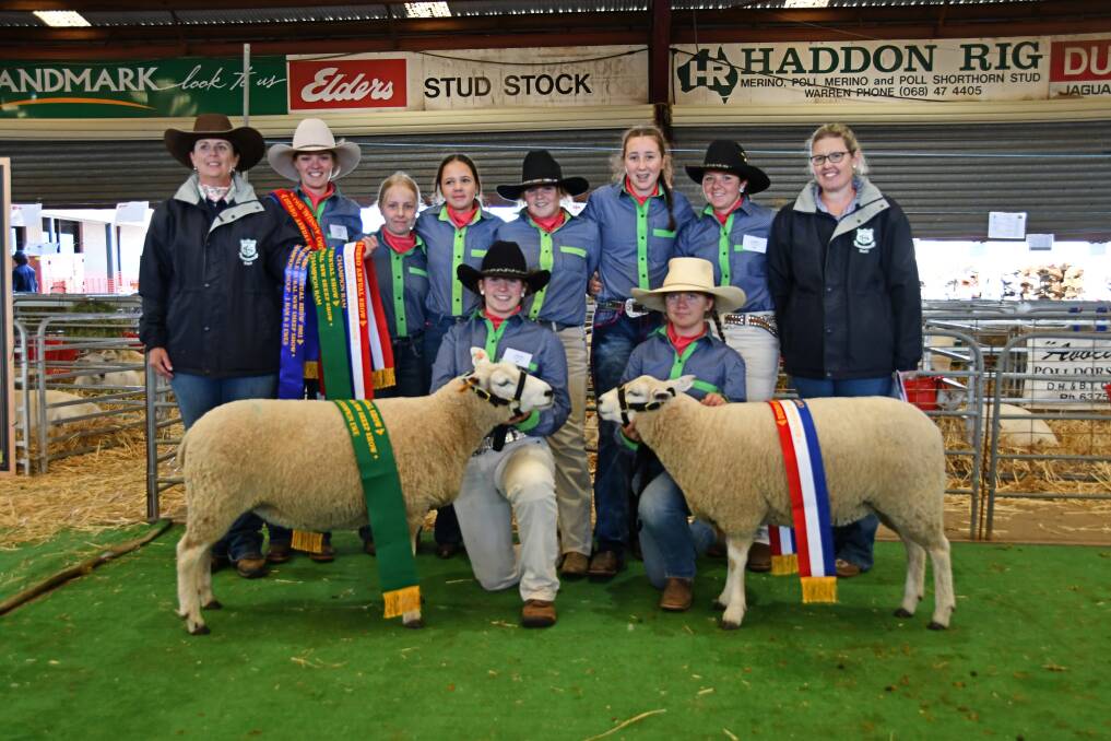 The Baradine Central School agriculture team cleaned up at the NSW Sheep Show in Dubbo. Photo: Billy Jupp 
