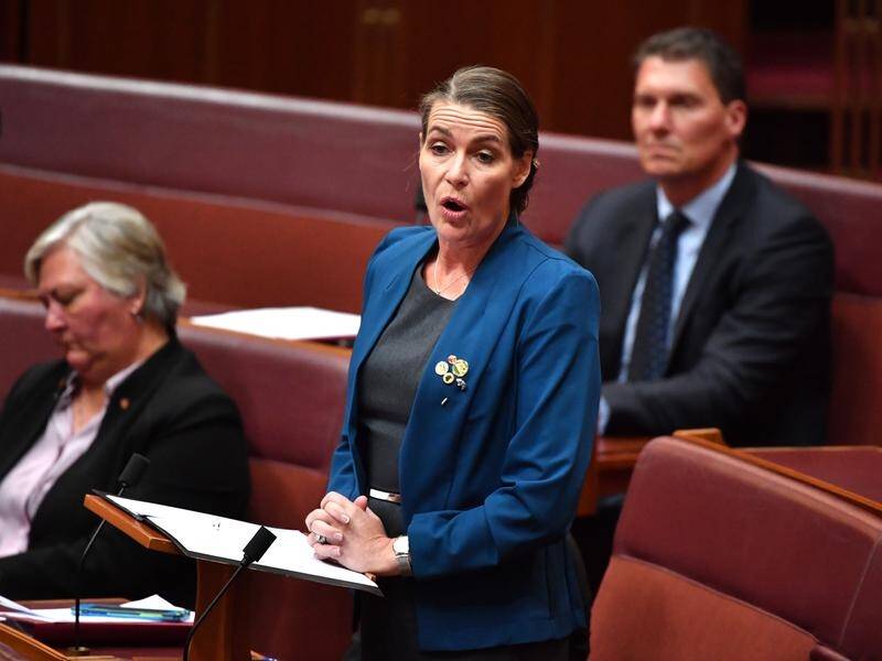 NSW Nationals Senator Perin Davey is a co-chair of the taskforce. Photo: File