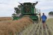 Off and rolling: spring harvest off to 'cracking' start