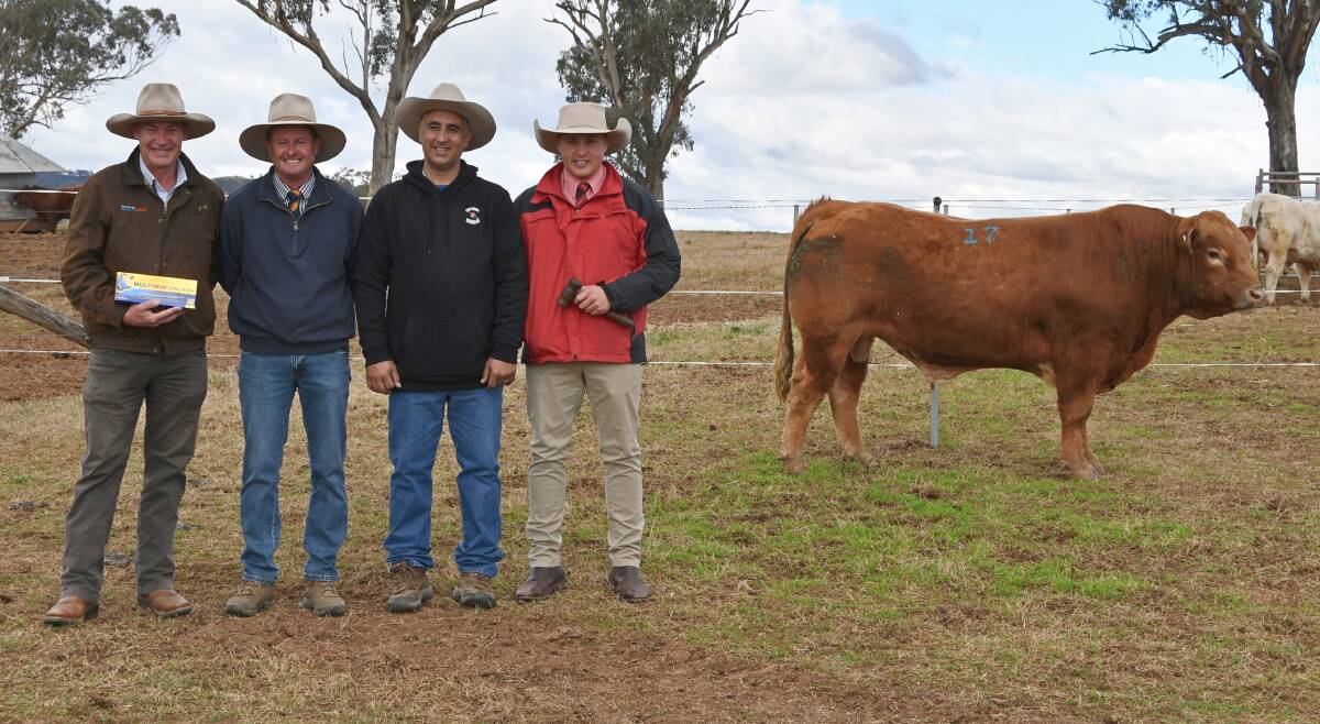Virbac Hunter and North West Slopes regional sales manger Andrew Mulligan, stock agent Chris Paterson, Tamworth, Caloona Charolais stud principal Louie Franco and auctioneer Lincoln McKinlay, Elders, Inverell, with the top-selling Charolais bull. Photo: Billy Jupp 
