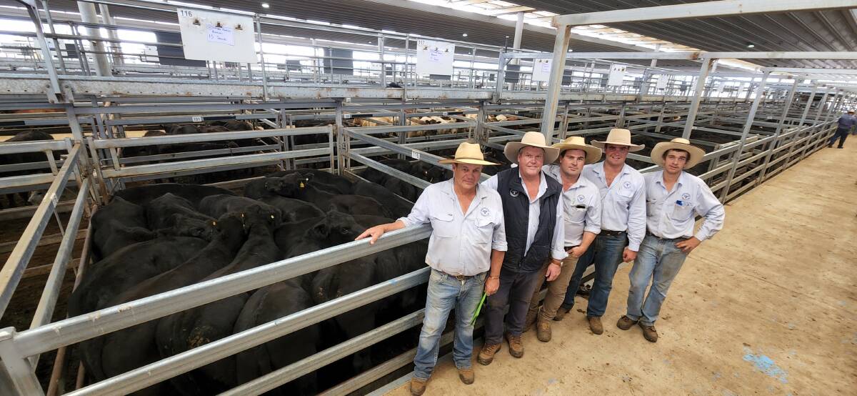 The Purtle Plevey Agencies team with the Angus steers which sold for $2500 a head on behalf of Tathara Farming, Quirindi. Photo: Michelle Mawhinney, TLSAA 