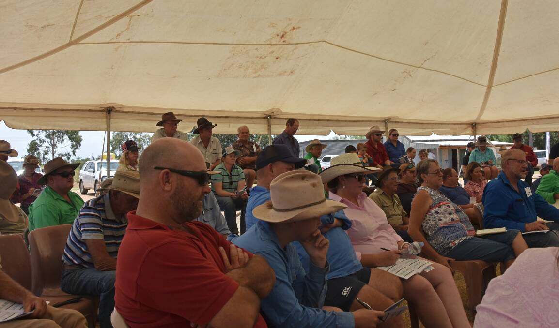 The atmosphere created at a ram sale is tough to beat, regardless of what time the sale starts. Photo: Billy Jupp 