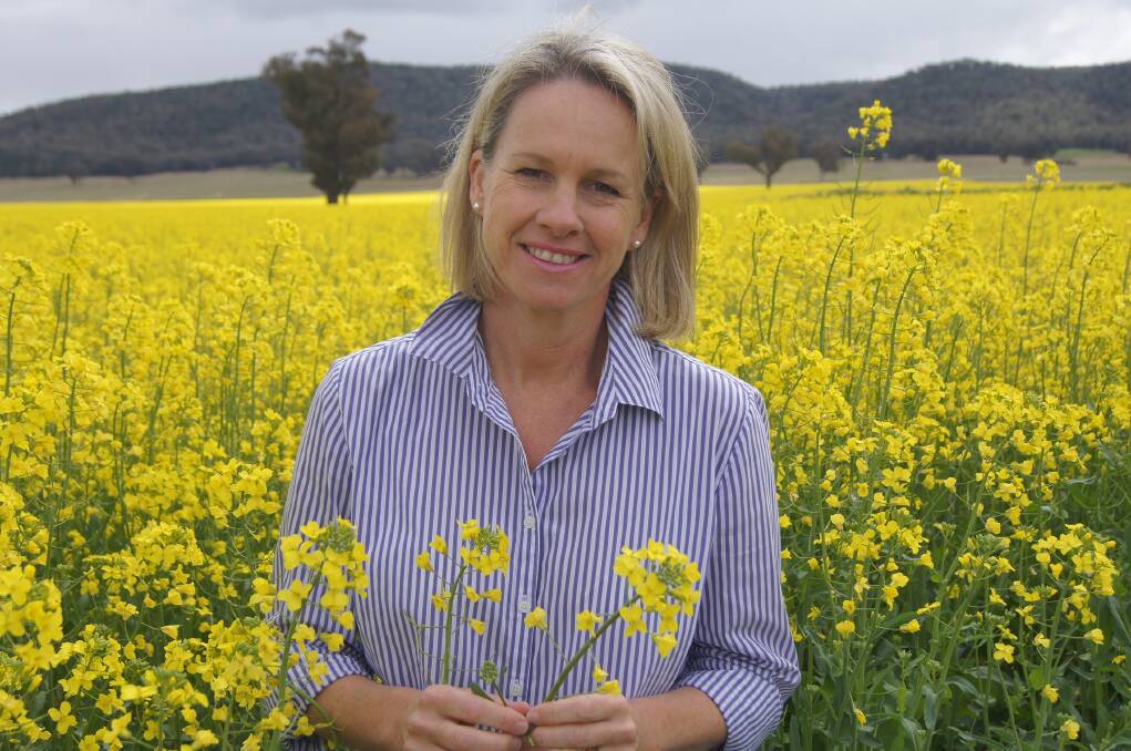 Former NSW Senator Fiona Nash has been named the country's first Regional Education Commissioner. Photo: File 