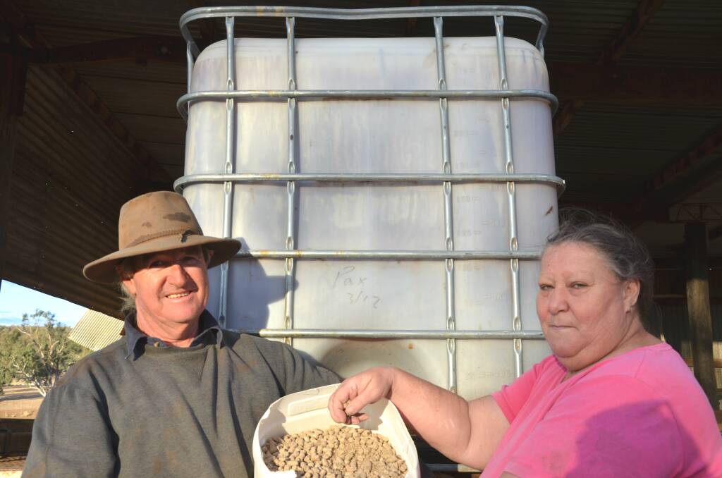 WAITING GAME: Goolhi's Les and Laura Jones are among the region's farmers waiting for the latest round of government drought relief. Photo: Billy Jupp 