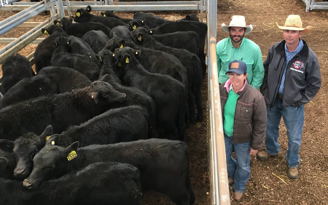 Kerrabee Park, Kerrabee, Bylong mangerrs Denny and Cherie Farley and Chris Dobie, Nutrien Livestock, Scone with a pen of 15 calves which along with their mothers, sold for $3400/hd. Photo: Billy Jupp 