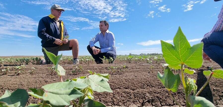 Emerald grower Neek Morawitz and new Cotton Australia chairman Nigel Burnett mark the start of the season. 