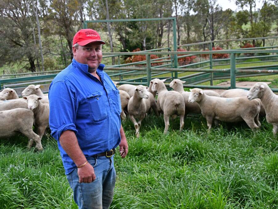 Old Woombi Poll Dorset stud principal Sam Lisle with the draft of rams on offer in the studs first spring sale. Photo: Billy Jupp 