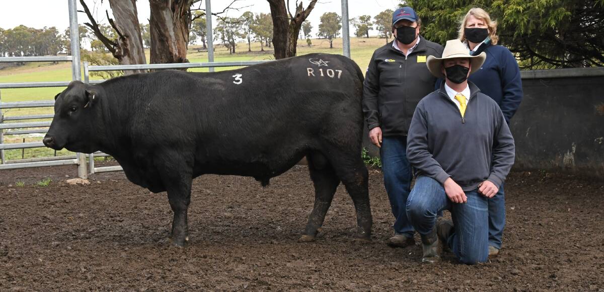 Glenmorgan Angus stud principals Nicholas and Karen Morgan and stock agent Blake O'Reilly, Ray White Rural, Guyra and Armidale, with the top selling bull. Photo: Billy Jupp 