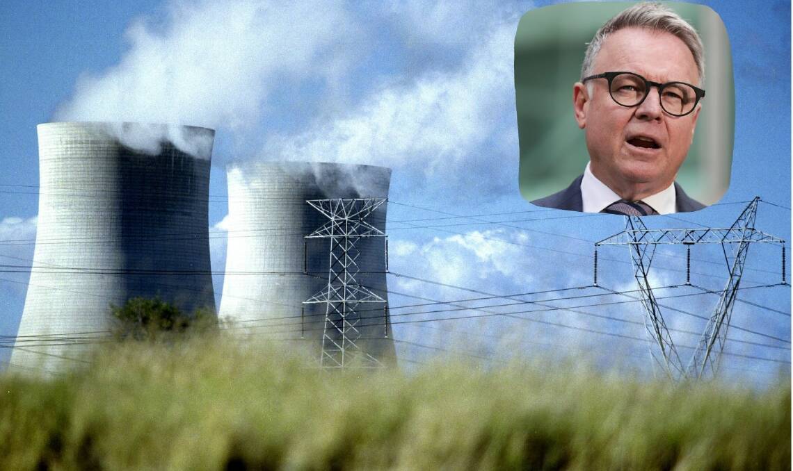 Hunter MP Joel Fitzgibbon has thrown his support behind the proposal to convert the former Kurri Kurri Aluminum Smelter into a gas-fired power station. 