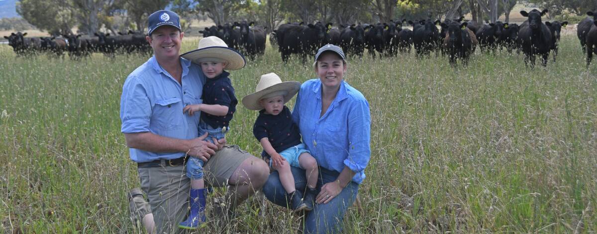 Hamish, Walter, Angus and Jess Webb have been eager to explore the potential of their Uralla property, Myanbah's soil. Photo: Billy Jupp