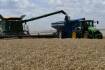 Rain halts NSW's harvest progress as receival deliveries dry up