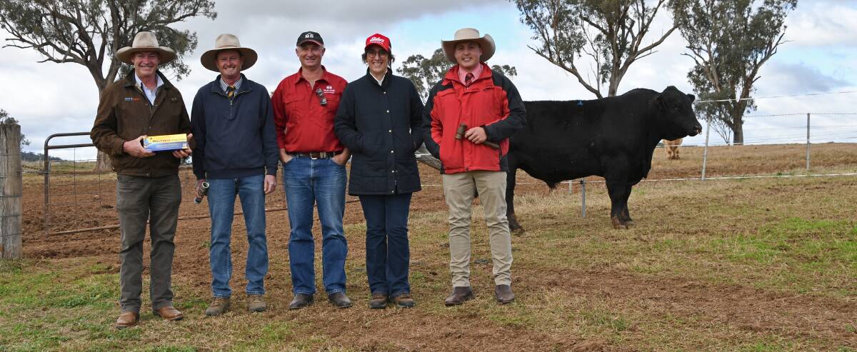 Virbac Hunter and North West Slopes regional sales manger Andrew Mulligan, stock agent Chris Paterson, Tamworth, Mala-Daki stud principals Jason and Jacqueline Impey and auctioneer Lincoln McKinlay, Elders, Inverell, with the top-selling Simmental bull. Photo: Billy Jupp 