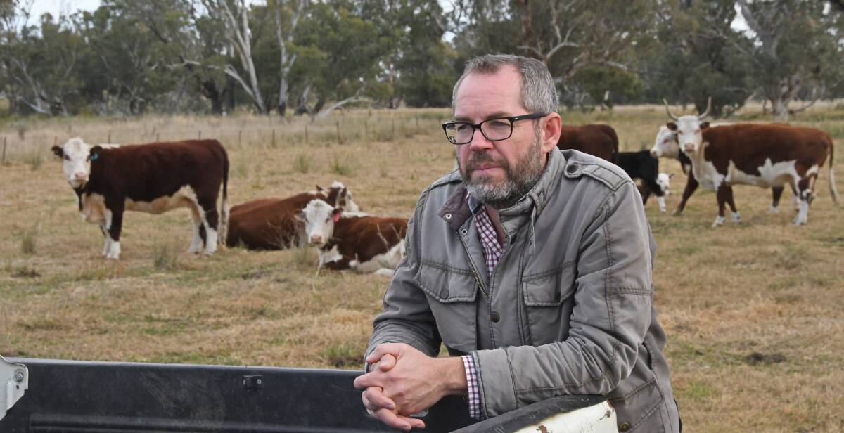 Liverpool Plains cattle and cropping producer Peter Wills has been a long-time opponent of the expired petroleum exploration licences. Photo: Billy Jupp