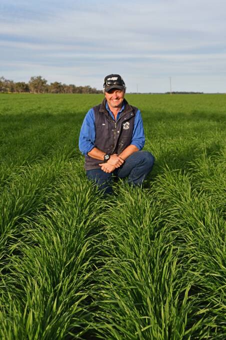 The 2021 winter cropping season is shaping up to be one to remember for Mungindi grower Sam Heagney. Photo: Billy Jupp 