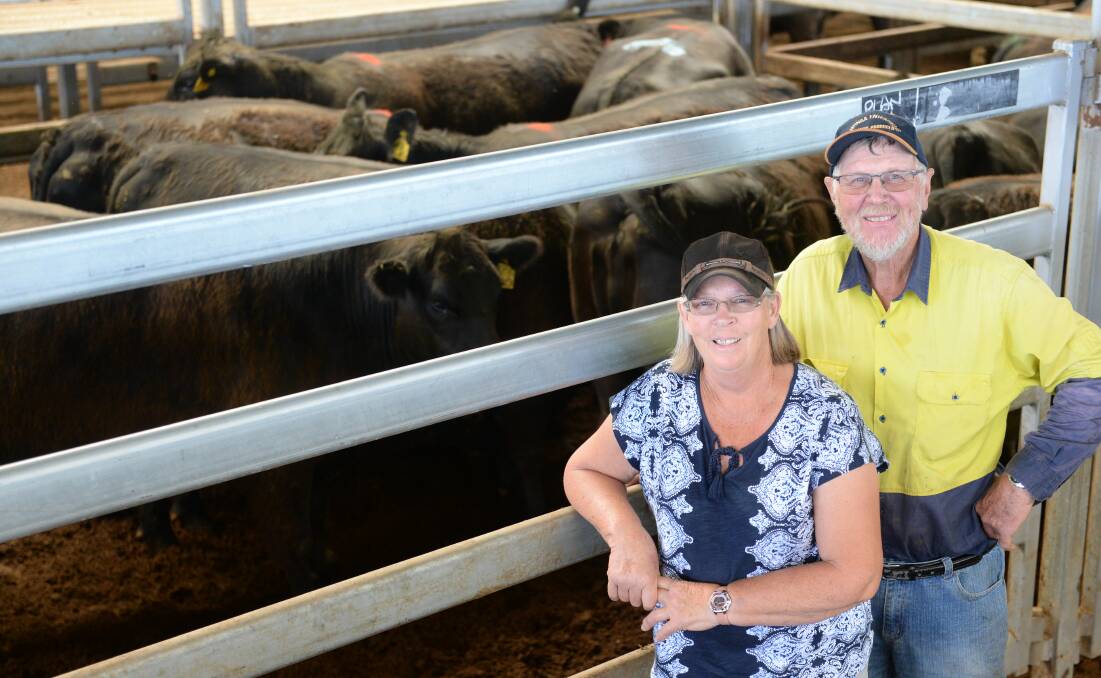 ANGUS CATTLE: John and Annie Plantinga pictured at a Carcoar sale in 2015. The couple mainly sell to feedlots and direct to abattoirs.