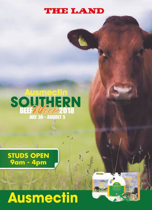 More than 40 studs on show for Southern Beef Week