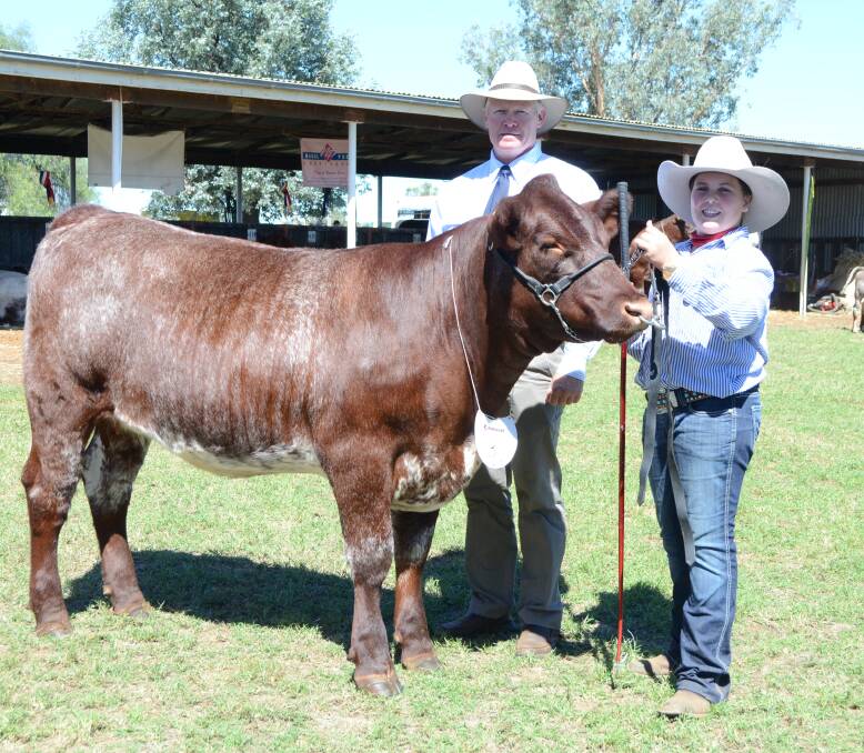 2018 JUDGE: Steve Peake, pictured with Isabelle Burke, judging the Shorthorn feature show at Barraba last year.