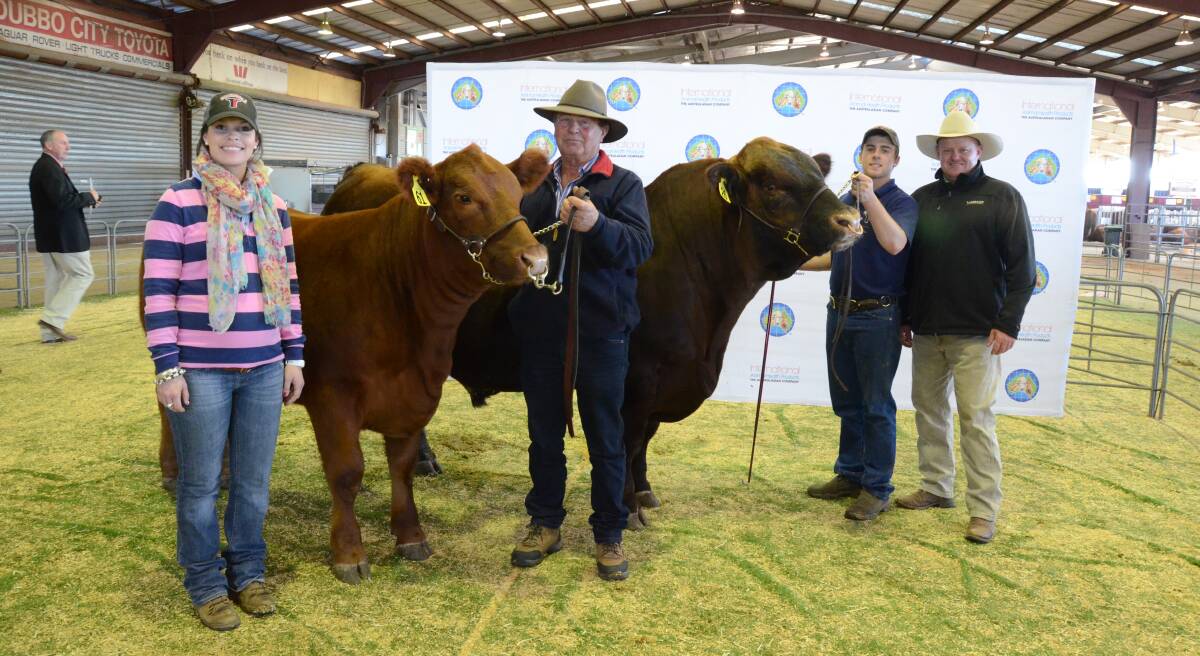 Nicole Skipper Goondoola, Cargo, with the top Red Angus heifer and bull bought by Ross Anderson, Arding. Also pictured Paul Powe and agent John Settree.