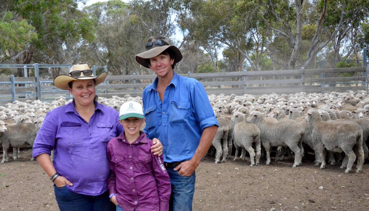 BOOST IN PRODUCTIVITY: Lynette, David and Jessica Taylor with Nerstane blood sheep at Keston, Wandsworth. The Taylors manage a 400-head Merino operation, focusing on growth and fleece weight.