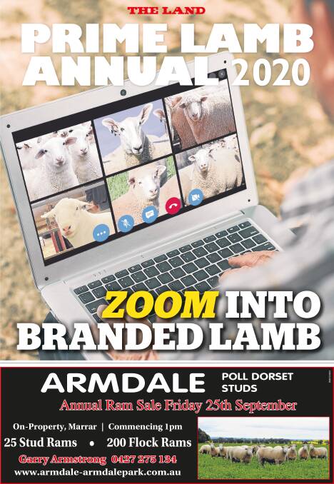 Read the full Prime Lamb Annual here.